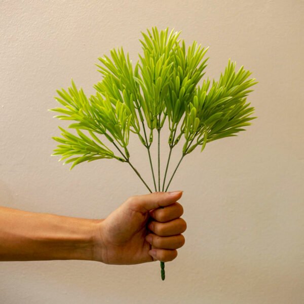 PPG001 Pinus Grass Bush