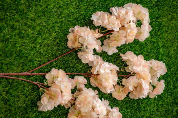ACB303L Cherry Blossom Pink Peach - Image 3