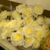 ARO101L Roses Off White - Image 2