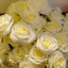 White-Roses-AHR101L