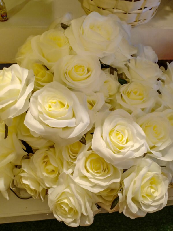White-Roses-AHR101L