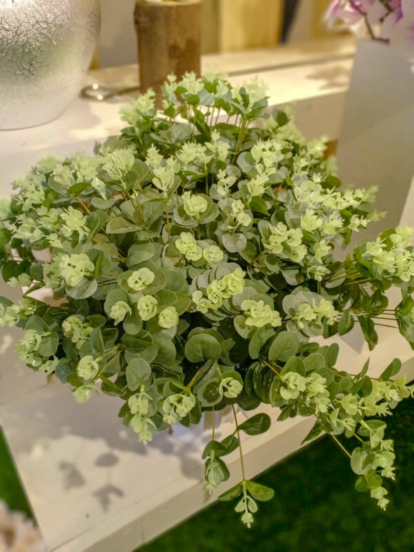 AYU502L Yucali Green - Image 2