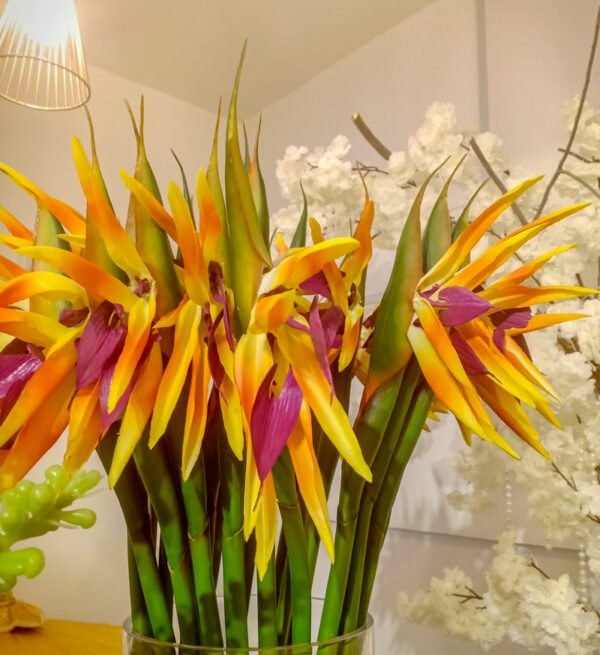 BPS805L Bird of Paradise Spray