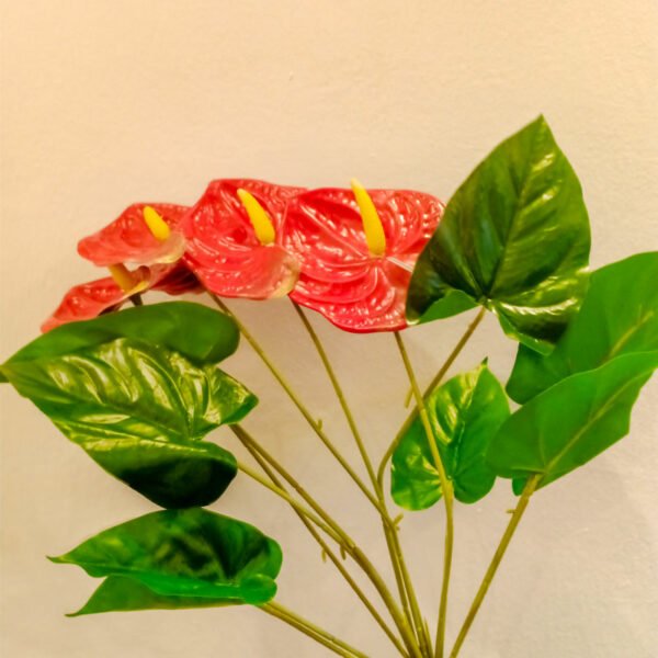 FLA902L Fresh Look Anthurium Bush Pair - Image 3