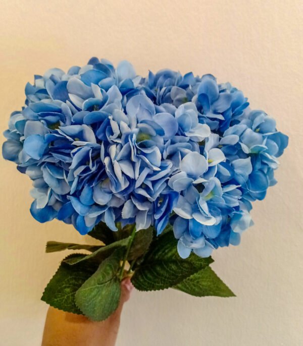 Lite-Blue-Hydrangea