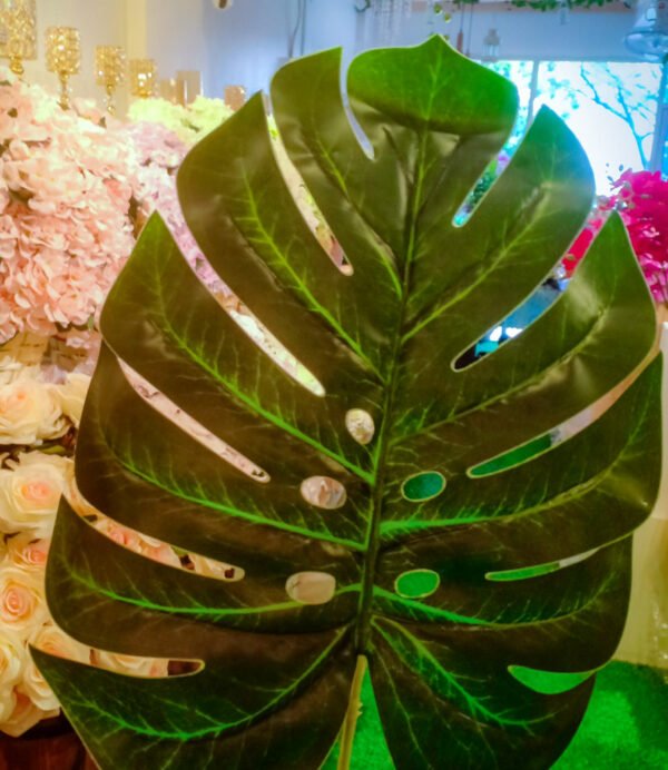 SML502L Monstera Leaf
