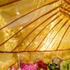 PYGT404-1L Payung Transparent 1 Layer Pair - Gold - Image 4