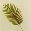 SPL502L Single Areca Palm Leaf - Image 3