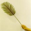 SPL502L Single Areca Palm Leaf