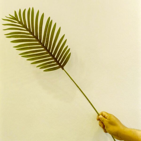 SPL502L Single Areca Palm Leaf