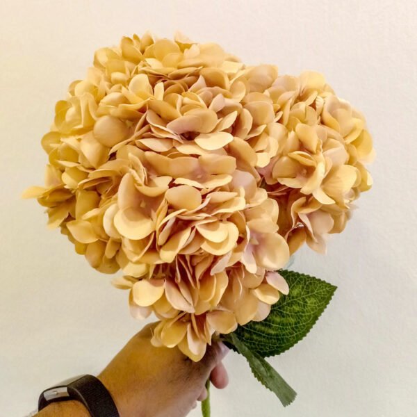 AHY704L Hydrangea Brown Pink