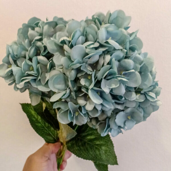 grey-hydrangea