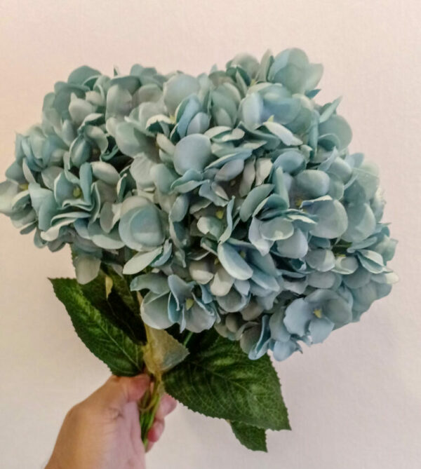 grey-hydrangea