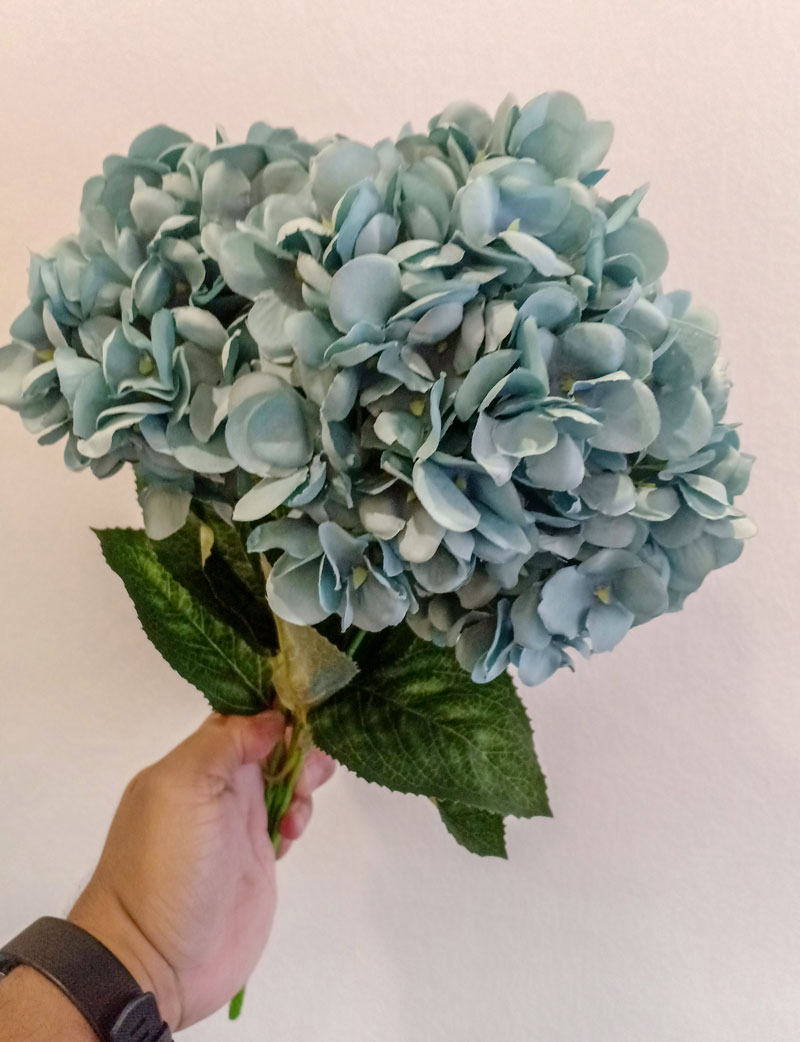 grey-hydrangea