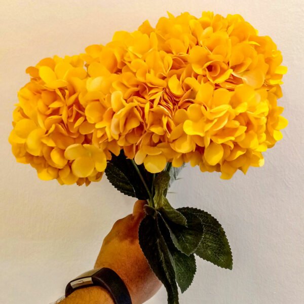 AHY403L Hydrangea Orange