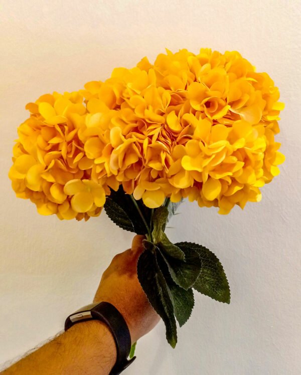AHY403L Hydrangea Orange