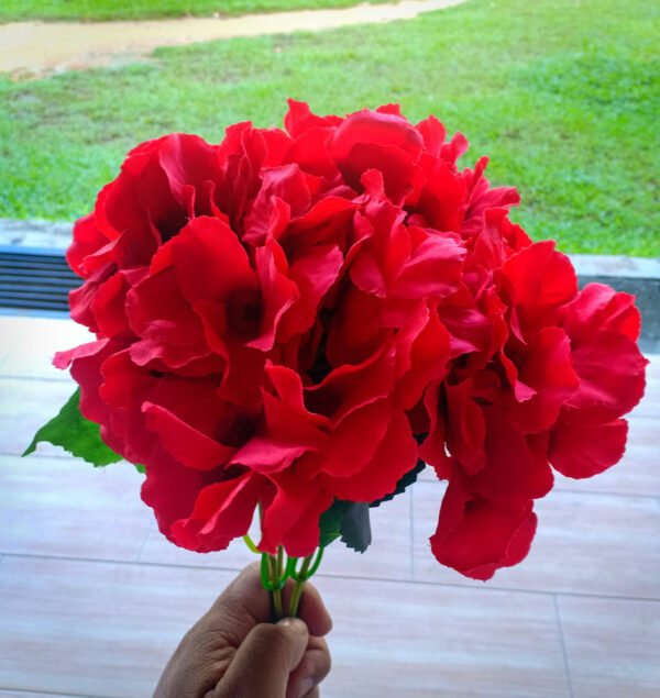 AHY902L Hydrangea Red Large Petals - Image 2