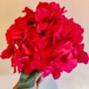 AHY902L Hydrangea Red Large Petals
