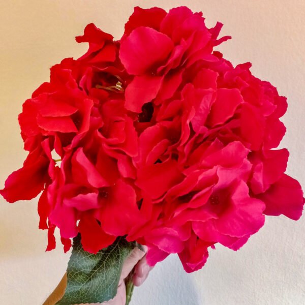 AHY902L Hydrangea Red Large Petals