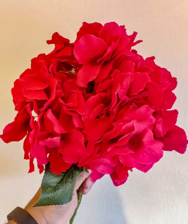 AHY902L Hydrangea Red Large Petals