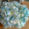 AHY906L Hydrangea Baby Blue