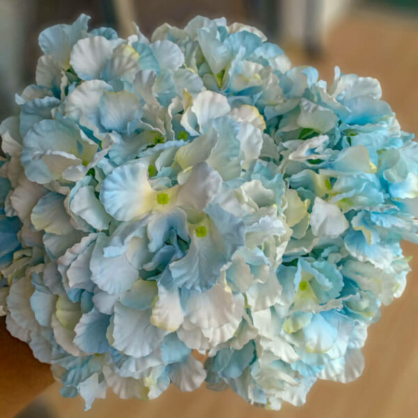 AHY906L Hydrangea Baby Blue