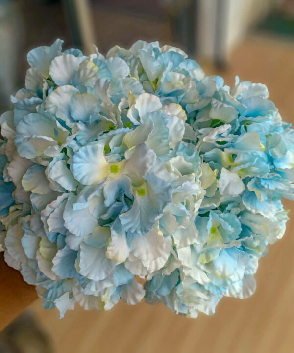 AHY906L Hydrangea Baby Blue