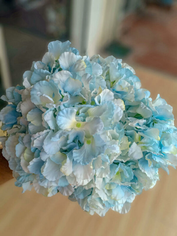 AHY906L Hydrangea Baby Blue - Image 2