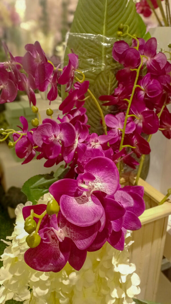 AOR601L Orchid Dark Purple - Image 3