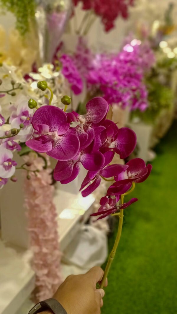 AOR601L Orchid Dark Purple