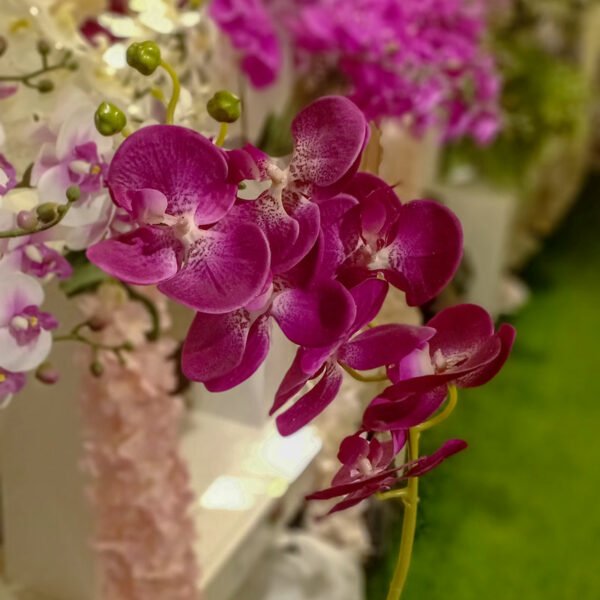 AOR601L Orchid Dark Purple