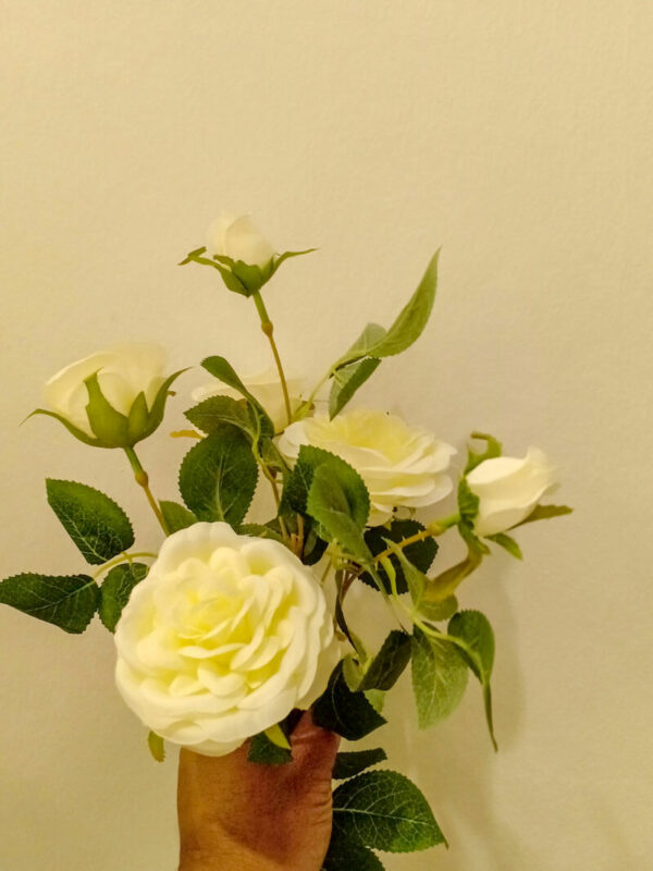 APR101L Prickly Roses White