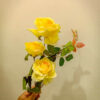 GBH601L Artificial Hydrangea - Maroon+Champagne - Image 3