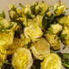 APR805L Prickly Roses Yellow - Image 3
