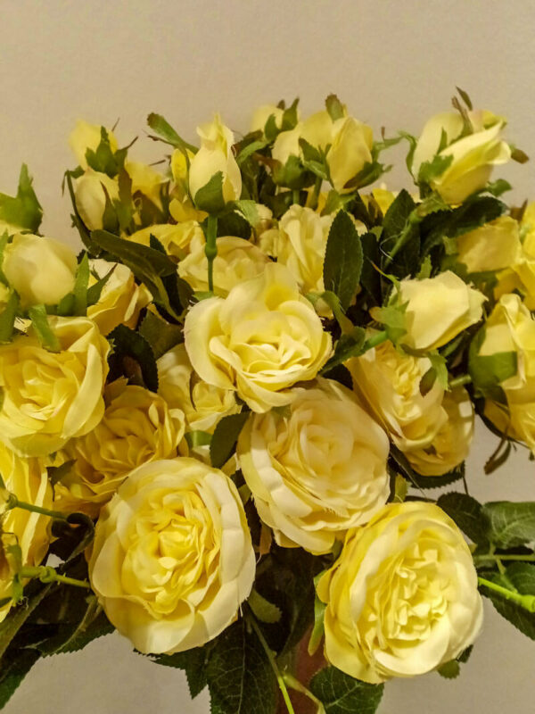 APR805L Prickly Roses Yellow - Image 3