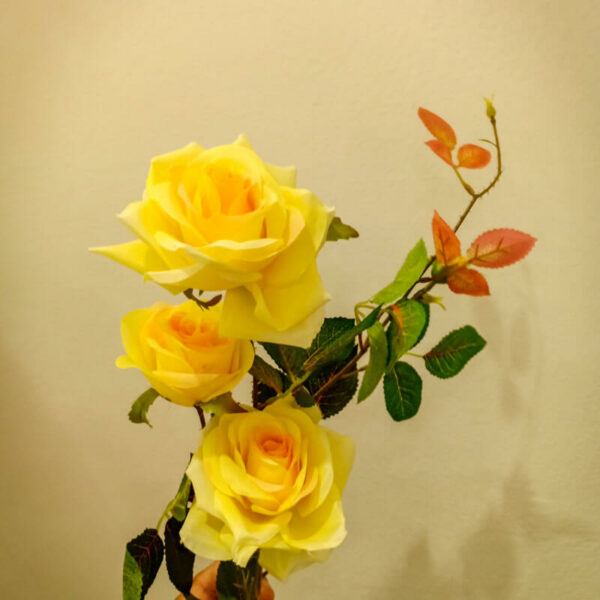 APR805L Prickly Roses Yellow