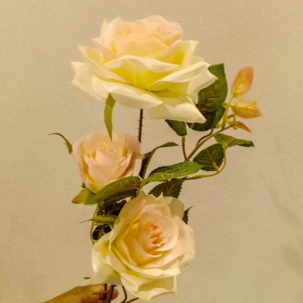 APR402L Prickly Roses Peach