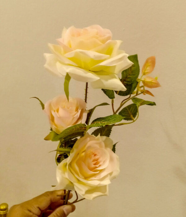 APR402L Prickly Roses Peach