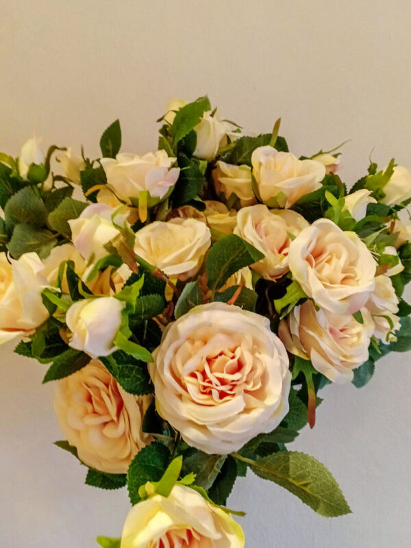 APR402L Prickly Roses Peach - Image 2
