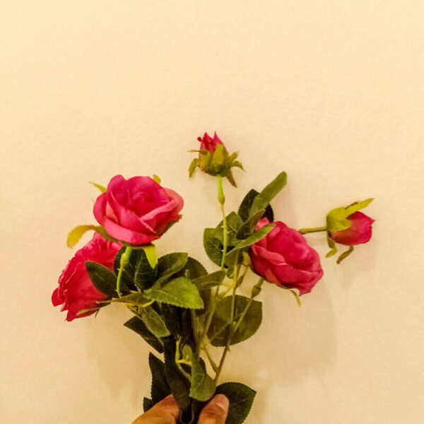 APR902L Prickly Roses Red