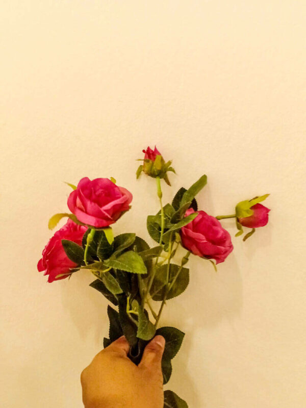 APR902L Prickly Roses Red
