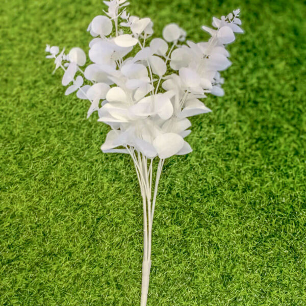 AYU101L Yucali White