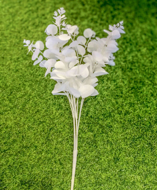 AYU101L Yucali White
