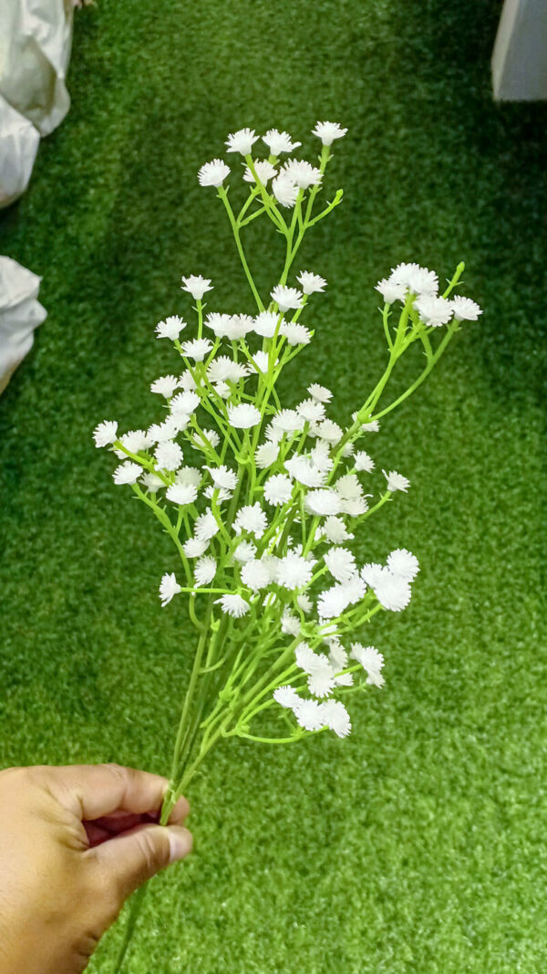 BBB101L Baby Breath White