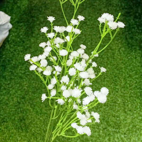 BBB101L Baby Breath White