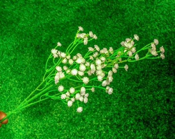 BBB101L Baby Breath White - Image 3