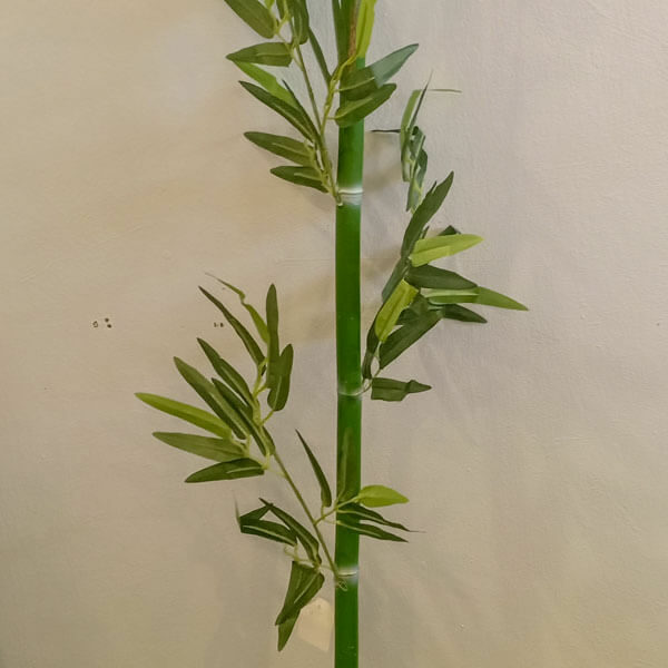 BLS502L Single Bamboo Stick