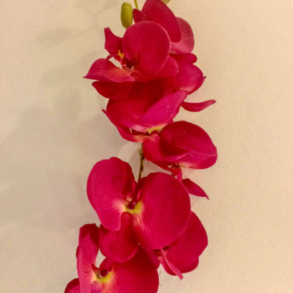 BOS903L Butterfly Orchid Spray