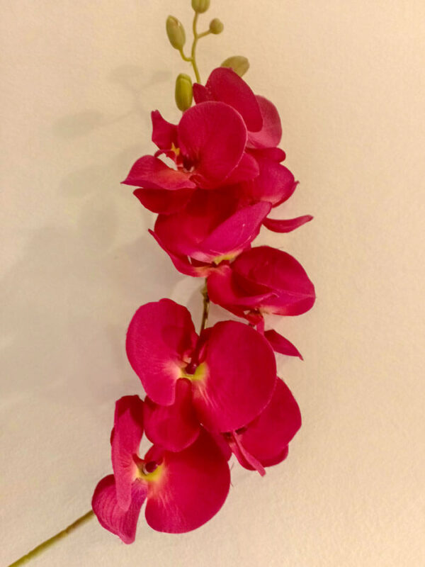 BOS903L Butterfly Orchid Spray