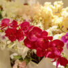 BOS903L Butterfly Orchid Spray - Image 3